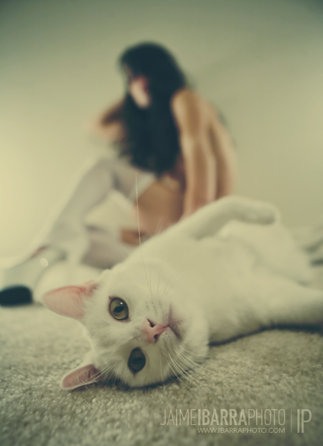 3ab60ee554204f7625bf0c9cce4e1c8e.jpg