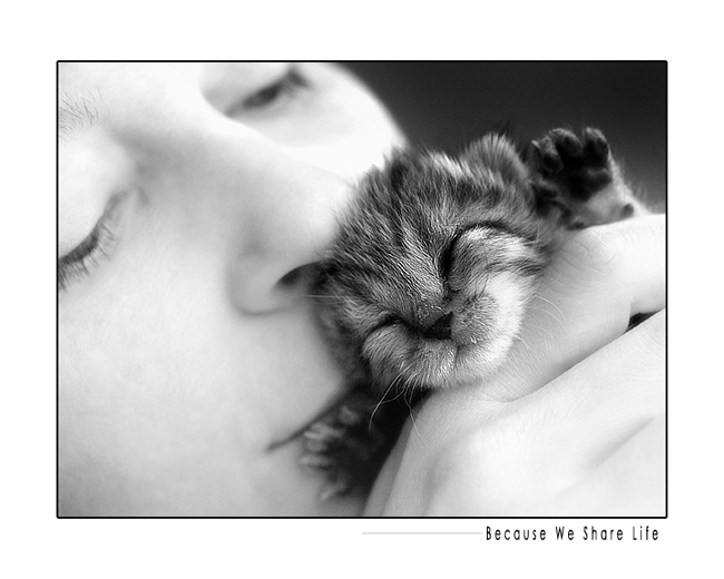 _because_we_share_life__by_fangedfem.jpg