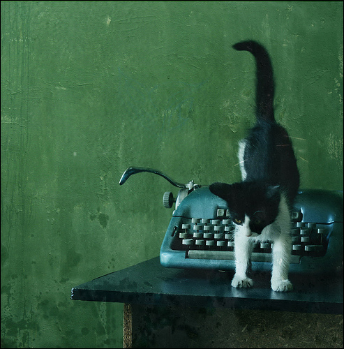 The_little_writer_by_Raccoon_with_a_cigar.jpg