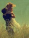 Invincible_Summer_by_ThisFallingStar.jpg